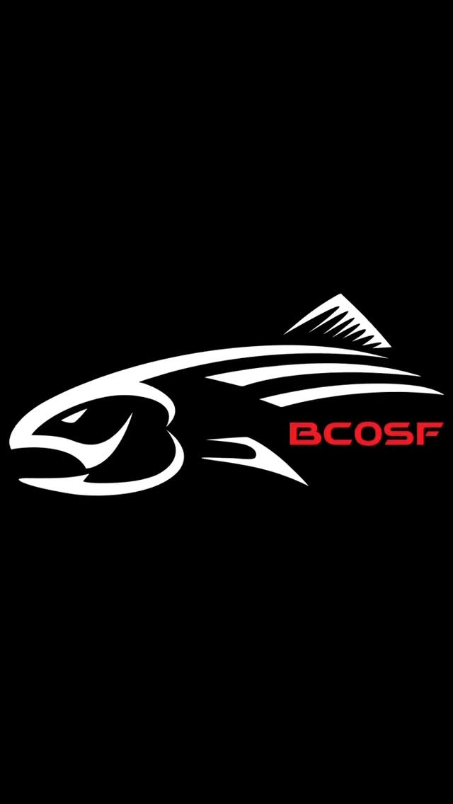 Day 2 at the @bcoutdoorsshow 🎣
Come swing by the booth at Chilliwack Heritage Park today until 6 PM, or Sunday 10–4 PM.
Talk fishing, check out the new merch, and hang with the BCOSF crew!