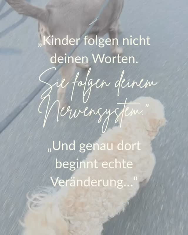 Kinder hören nicht nur, was du sagst.
Sie fühlen, wie es dir wirklich geht.
Deine Anspannung.
Deine Erschöpfung.
Deine innere Unruhe.
Und sie reagieren darauf – nicht, weil sie „schwierig“ sind,
sondern weil sie verbunden sind.
Viele Eltern versuchen dann noch mehr zu erklären,
noch konsequenter zu sein,
noch mehr „richtig“ zu machen.
Doch was, wenn genau das nicht der Schlüssel ist?
Was, wenn dein Kind keinen besseren Plan braucht –
sondern einen ruhigeren inneren Raum bei dir?
🐾 Genau hier begleiten dich meine Hunde zurück in deine innere Ruhe.
Sie bringen dich raus aus dem Kopf – zurück in deinen Körper.
Zurück in einen Zustand von Sicherheit, den dein Kind fühlen kann.
Und plötzlich verändert sich etwas:
✨ weniger Widerstand
✨ mehr Verbindung
✨ mehr Leichtigkeit im Alltag
Nicht perfekt.
Aber echter.
Spür mal ehrlich hin:
In welchem Zustand begegnest du deinem Kind gerade am häufigsten?
Teile deine Gedanken in den Kommentaren oder schreib mir 🐾 wenn du erleben möchtest, wie sich das verändern kann. Für dich. Für euch.
#Selbstfürsorge
#Achtsamkeit
#Elternsein
#Familienleben
#stressbewältigung