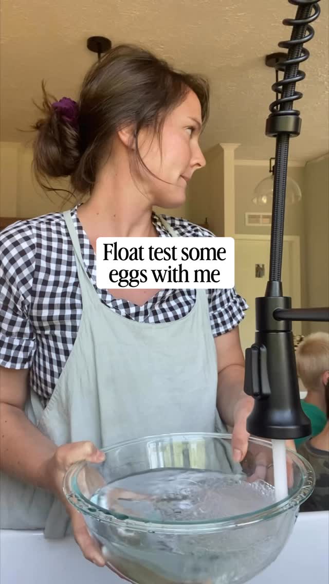 This was from a couple years ago- do you believe the float test is accurate?
Right now we are getting so many eggs, if we find a nest we typically just feed them to the pigs!
#homestead #farmlife #chickens