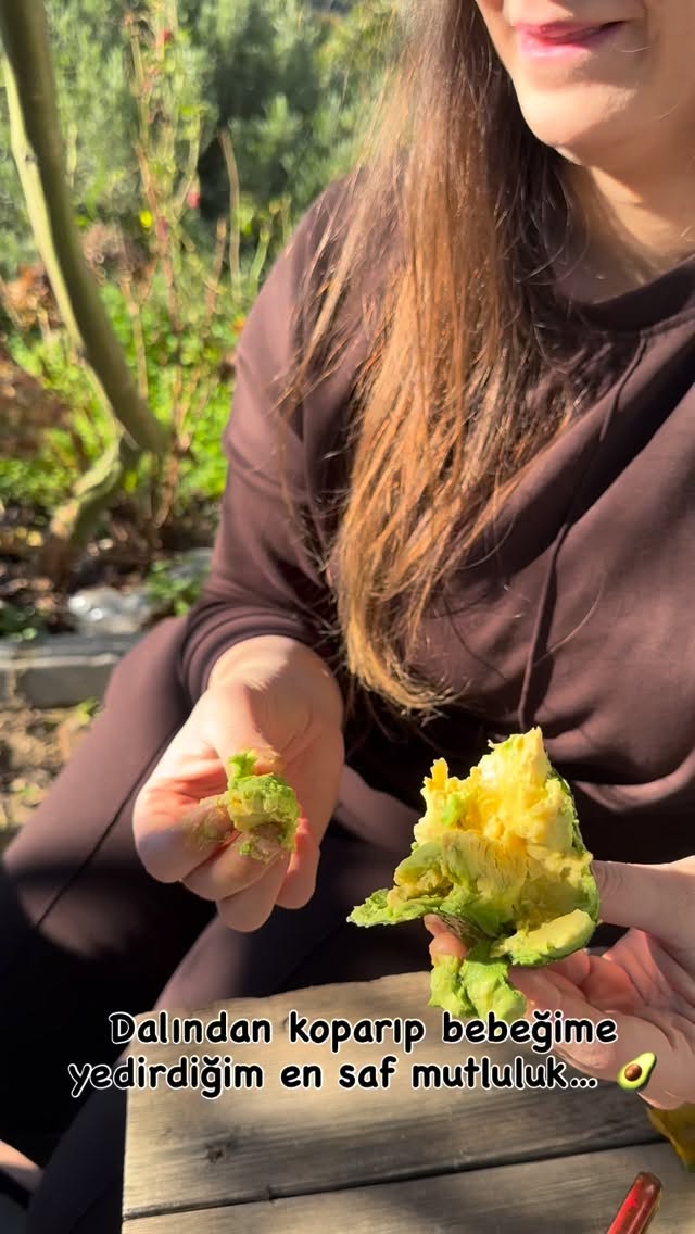 Bebeğime gönül rahatlığıyla yediriyorum 🥑💚
İlaçsız, dalından taze avokadolarımız hazır!
Sipariş için whatsapp veya DM’den ulaşabilirsiniz 📩
.
.
.
.
#avokado #doğalürünler #organikyaşam #bebekbeslenmesi #sağlıklıbeslenme