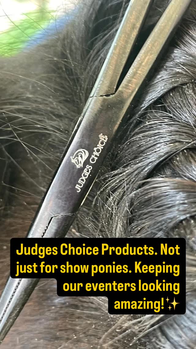 Anyone who knows the Cushavon horses know they are always turned out to the highest standards. Judges Choice products make this so easy. From shampoo to plaiting they have it all.