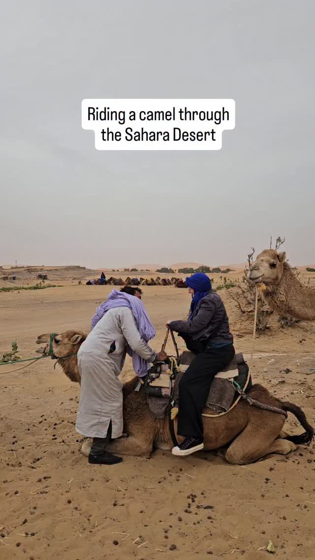 I know I talked about our Sahara trip, but I wanted to share more footage of the camel ride. Before the camel stood up the guide told us to lean back. I'm glad he did because the whole seat tipped forward as first the back legs and then the front stood up. These are dromedary camels with only one hump and Josh found it really uncomfortable. It was super windy and we were thankful to have our headscarves, plus it was a fun look. We had the option to ride the camels back out of camp and decided that a hour and a half was plenty. We took the Jeep back.
#camel #camelriding #travelmorocco