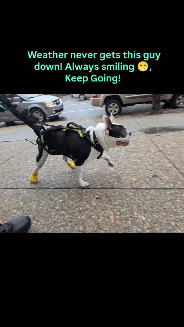 #keepgoing💪 Spring is going to get here soon!