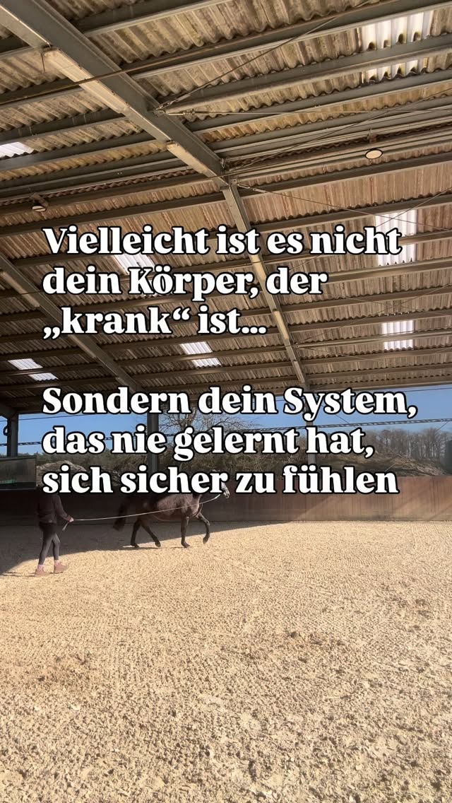 Angst bei körperlichen Symptomen entsteht nicht einfach so.�Dein Nervensystem hat gelernt, sich unsicher zu fühlen und genau das hält viele Prozesse im Körper aufrecht.
🧡Selbstheilung bedeutet, deinem Unterbewusstsein wieder Sicherheit zu vermitteln.
👉🏻Denn erst wenn dein System zur Ruhe kommt, kann sich auch körperlich etwas verändern.
Was macht Dir aktuell Angst?❤️🩹 kommentiere gerne mal
👉 Mehr Einblicke im kostenfreien Selbstheilungs-Channel�Link in Bio
#multiplesklerose #chronischkrank #autoimmunerkrankung #selbstheilung #selleriesaft