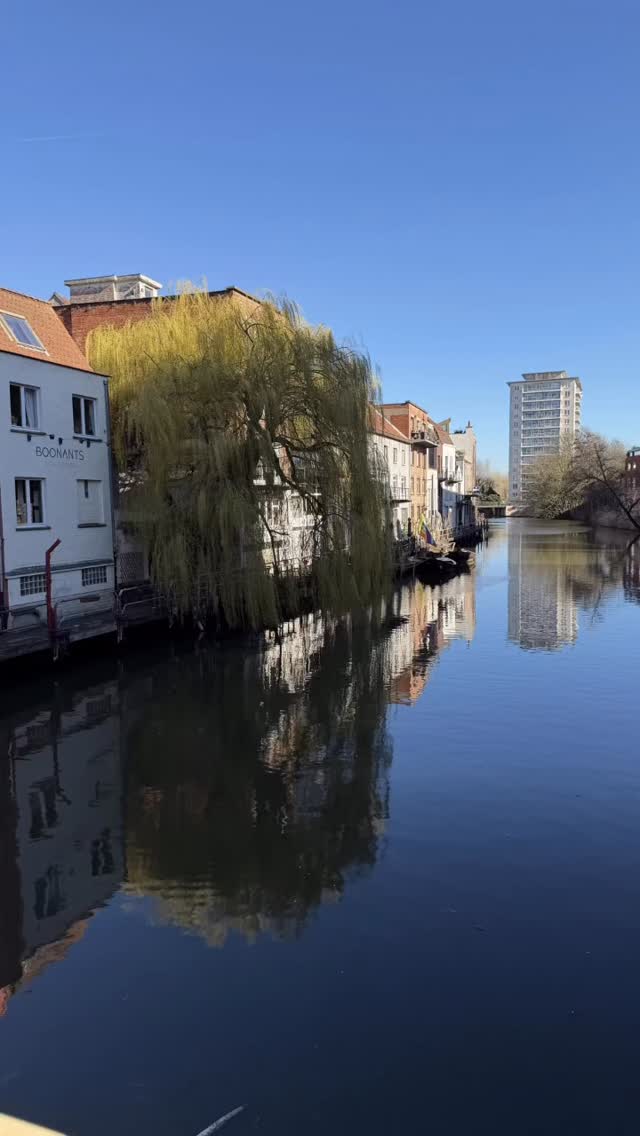 #rce26 #scenicopalfam26 #partnersintravel