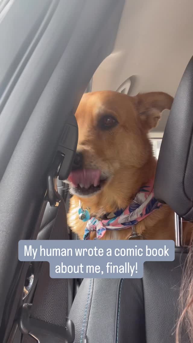 Meet Astro. The dog who decided humans needed training first.
Astro 🐾 , search & rescue expert, mixed breed legend, and the main character of Basic Obedience for Humans, Level 1.
Yes, the dog wrote the book. (Well… he narrated it. I just held the pen.)
This comic is his story, how dogs actually think, feel, and see the world.
And what we need to learn to be worthy of them. 🐶❤️
More characters coming soon. Stay tuned the cast is very good.
💬 Comment your dog’s name and I’ll tell you which character they’d be!