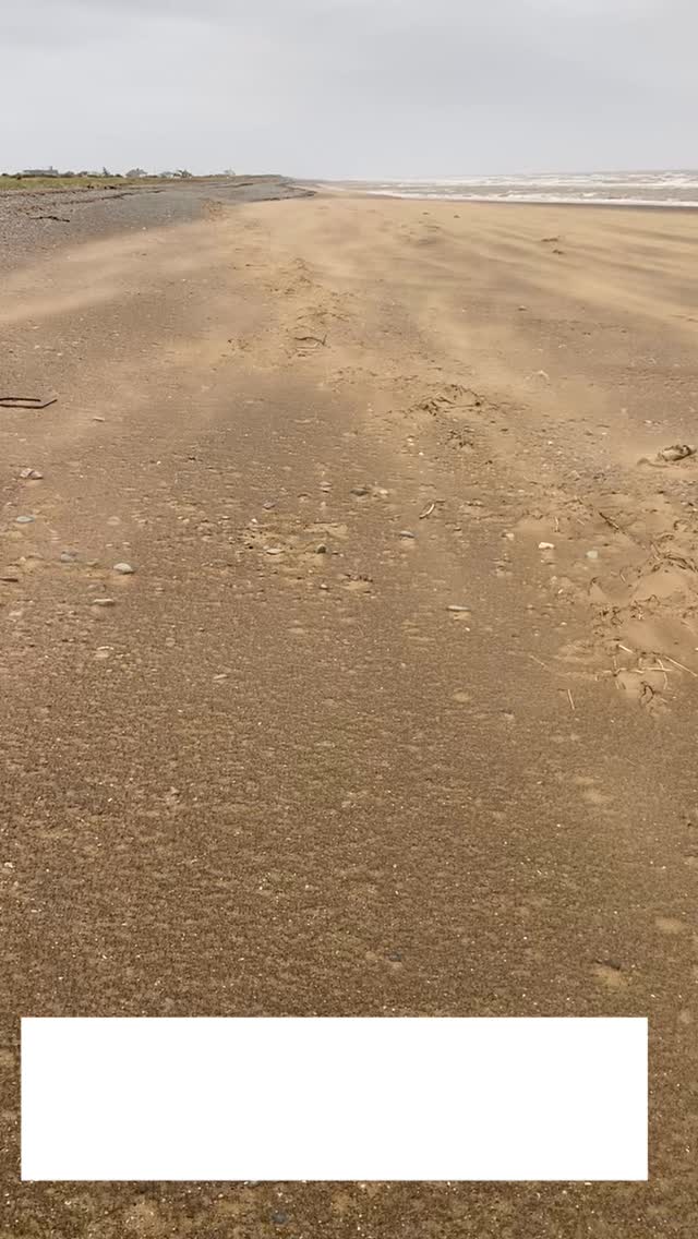 Just at the beach with a strong wind 💨