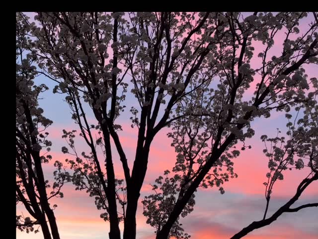 Yesterdays sunset was magical 😍