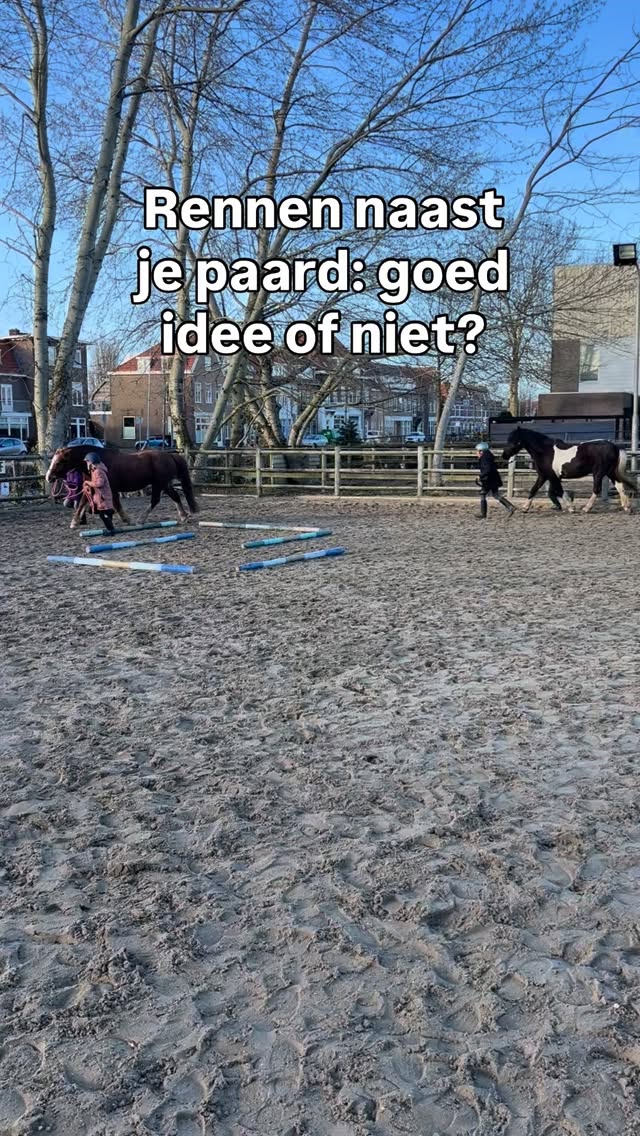 Als je begint met grondwerk, of een jong/nieuw paard hebt, werk je eerst naast je paard aan de basis: meelopen, activeren, remmen en sturen.
Samen stukjes draven?
Dat is in deze fase helemaal oké — en vaak juist leuk voor (jonge) ruiters én goed om de basis te versterken.
Daarna leer je je paard ook op afstand bewegen.
Blijft hij reageren op je hulpen, zonder dat jij meerent?
In de video zie je dat de leadrope soms nog beweegt — dat voelt een paard.
Dat verfijnen hoort bij het proces.
✨ Uiteindelijk willen we een zo stil mogelijke verbinding via het halster en de leadrope.
Als je basiscommunicatie klopt en je je paard helpt naar meer balans,
kun je ernaartoe werken dat je paard bij je kan draven terwijl jij zelf blijft lopen.
We rennen voor plezier en de basis —
en groeien naar rust, balans en een stille verbinding. 🤍
#grondwerk #paardentraining #horsemanship #paardenliefde #verbindingmetjepaard