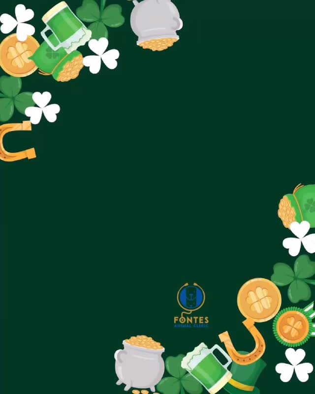 🍀 Lucky to Care for Your Best Friends! 🐾
At Fontes Animal Clinic, we feel incredibly lucky to be part of your pet’s health and happiness 💚
This St. Patrick’s Day, we’re celebrating all the wagging tails, purrs, and unconditional love that make every day special!
✨ Wishing you and your furry family a day full of luck, love, and good health!
📍 Fontes Animal Clinic
📞 Call us today to schedule your pet’s visit!
#StPatricksDay #LuckyPets #FontesAnimalClinic #PetCare #DogLovers CatLovers HealthyPets VetLife PetWellness FurBabies