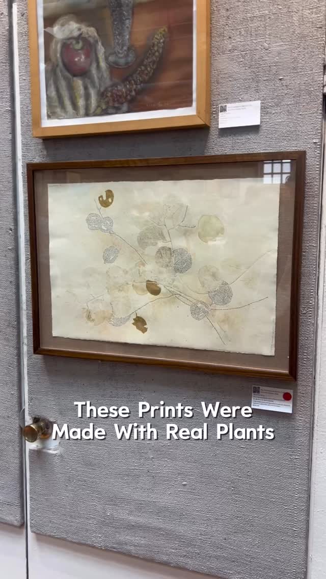 These prints were made with real plants.
Miranda Mote’s botanography transforms botanical materials into detailed impressions through the printing process.
Her work in Art of the Flower received an Honorable Mention and is on view at @philadelphiasketch.
📍 235 South Camac Street, Philadelphia
On view through March 29
Have you seen botanography before? 🌿