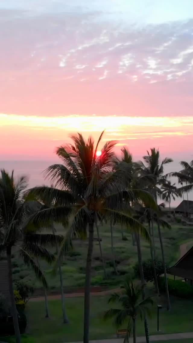 Diretamente do Hawaii para a 5th Avenue em Naples… chegou a OLUKAI.
Como alguém que tem problema nos pés, encontrar algo confortável e bonito nunca foi fácil.
�Mas usar esses sapatos é como caminhar na areia molhada perto do mar — macio, estável, com suporte.
De casa para a praia ou para o dia a dia… conforto finalmente deixou de ser um compromisso.
Se você estiver em Naples, vá experimentar.
�Você não vai só entender — vai sentir.
Mahalo 🤍
🇺🇸🇺🇸🇺🇸
From Hawaii to 5th Avenue in Naples… OLUKAI just arrived.
As someone who deals with foot pain, finding something that feels good and looks beautiful isn’t easy.
�But these feel like walking on wet sand by the ocean — soft, grounded, supported.
From home to the beach to everyday life… comfort finally doesn’t feel like a compromise.
If you’re in Naples, go try them.
�You won’t just understand — you’ll feel it.
Mahalo 🤍
#NaplesFlorida
#5thAvenueNaples
#Olukai
#FloridaLiving