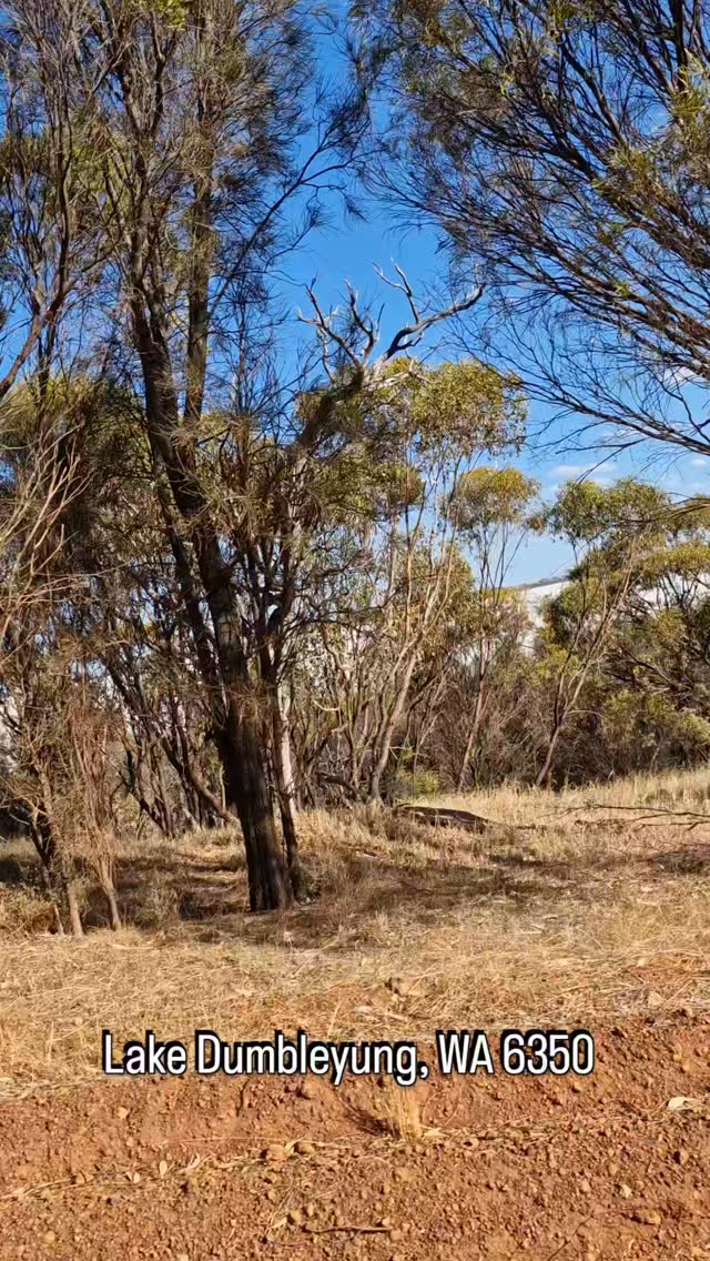 Visit Pussycat Hill Lookout for 360 views of Lake Dumbleyung and the Donald Campbell granite memorial.
(Images taken: 18/03/2026)