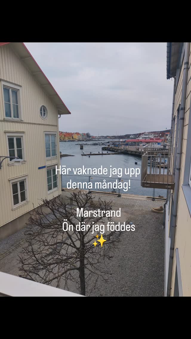 Ett hälsosamt dygn på Marstrand blev en skön start på veckan! ✨
Dimma och regn på vägen dit men ☀️ sprack igenom under vår spatid och vi tog hela 6 st havsdopp i 2-gradigt vatten🤩 #uppfriskande
Ljuvligt!
Nu är jag sååå redo för våren!✨ Är du?!
Värme☀️, blommor 🌷och kanske även lite odling är jag sugen på i år🌱
Tillbaks vid datorn igen och full fart framåt med de hemsidor jag formar just nu.💫
Hur har din vecka startat? 💜
Dela gärna med dig i kommentarsfältet eller DM.