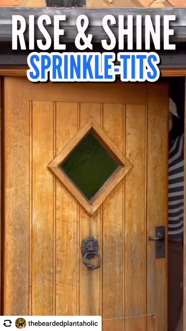 Love this!
Stop overthinking, just grow🌿🌿
Thank you @thebeardedplantaholic
.
#plantlover #justgrow #onelove