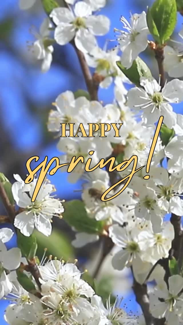 After yesterday we were feeling hopeful about spring but apparently winter isn’t done yet…