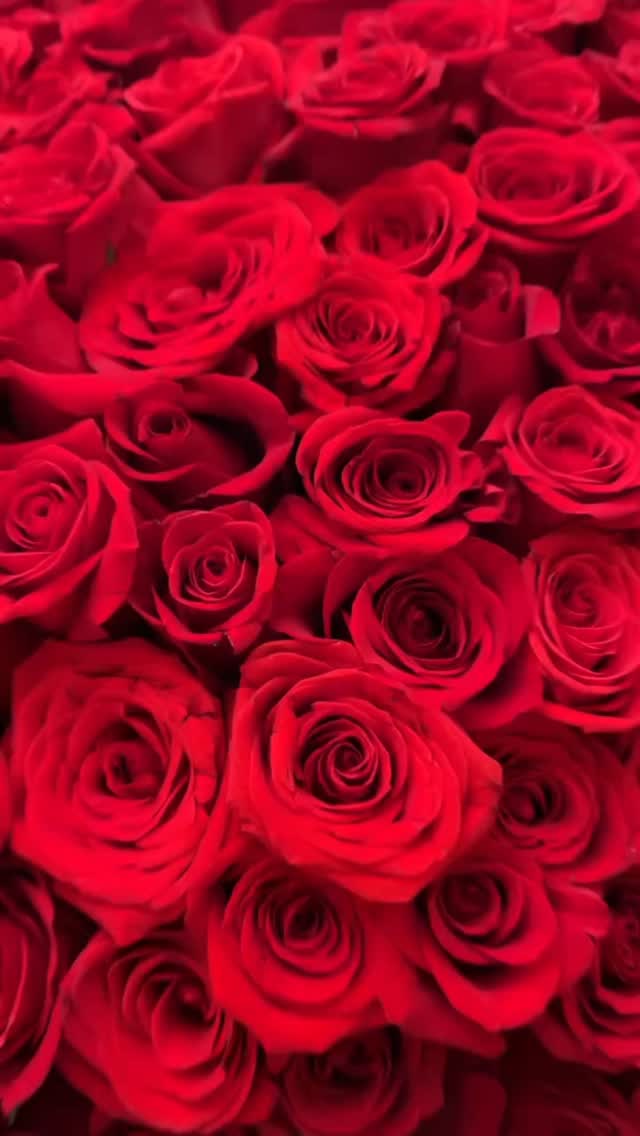 brb adding this to my mood board
#luxluf #luxlufevents #nycflorist #nycevents #flowers