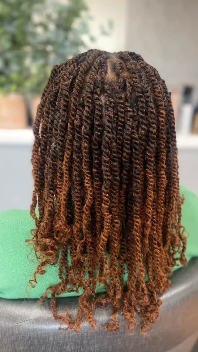 #boubeautysalon #protectivestyles #twostrandtwists #locstylist #locsstyles