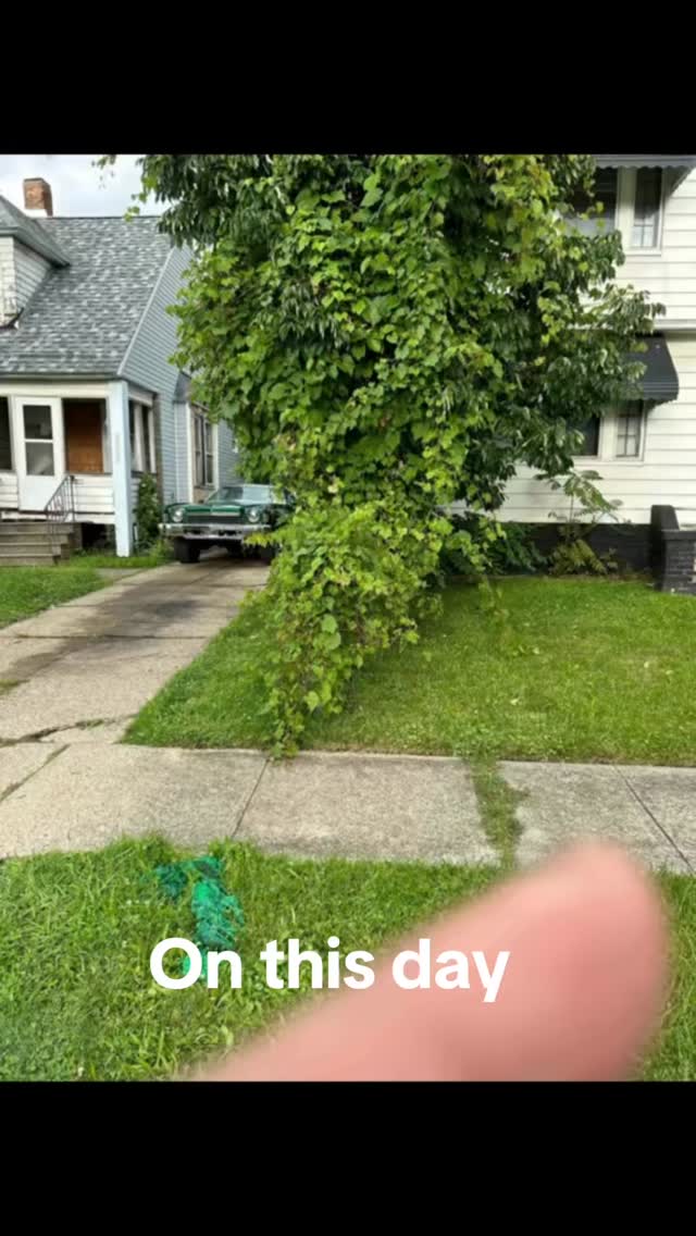 Vines Removed
Tree Cut down
#ohio #handyman #supportsmallbusiness #landscape #propertymanagement