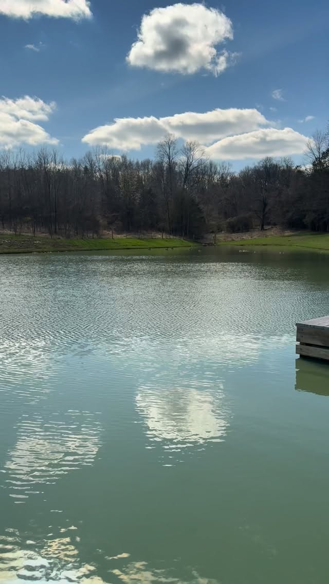Looking forward to the weekend when it’s back in the 70’s! ☀️ It’s still so beautiful even when it’s cold! #junctionfarmky #louisvilleky #farmlife