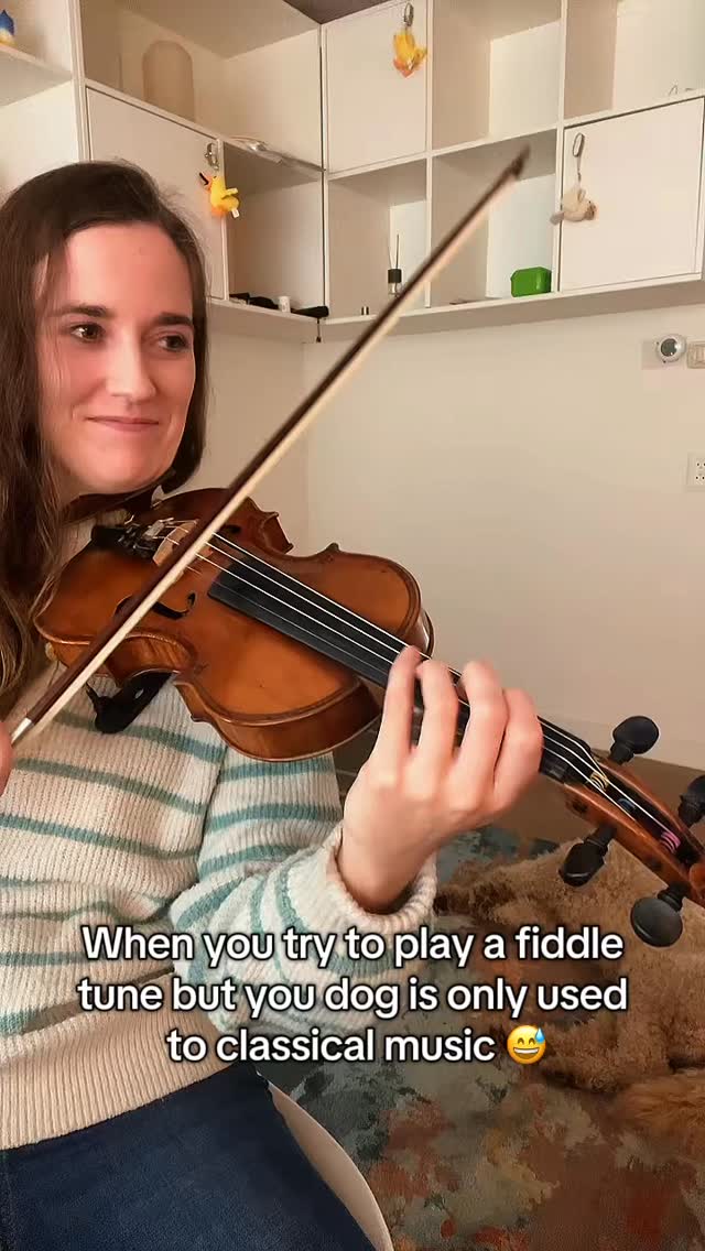 I should play more fiddle tunes I guess 💁♀️ #violin #violinist #music #musician #humor
