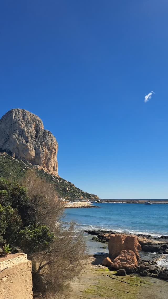 Finalmente primavera
#costablanca #jalon #calpe #espana #primavera