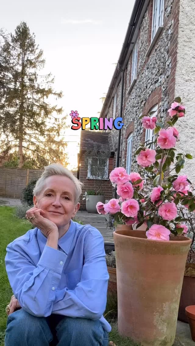 Three super easy ways to get Spring into your wardrobe.
1. Put the dark heavy clothes to one side (not completely away because, you know, Fake Spring).
2. Find any clothes in your wardrobe in spring-like colours. Think pale blues, yellow, pink, pale green. The colours that are emerging in the flowers basically.
3. Put these on and go outside.
As easy as that!
#personalstylist #springstyle #springoutfit
Easy spring fashion, loose clothing, pastel colour clothes, wear your wardrobe, wardrobe edit, Buckinghamshire and London based stylist.