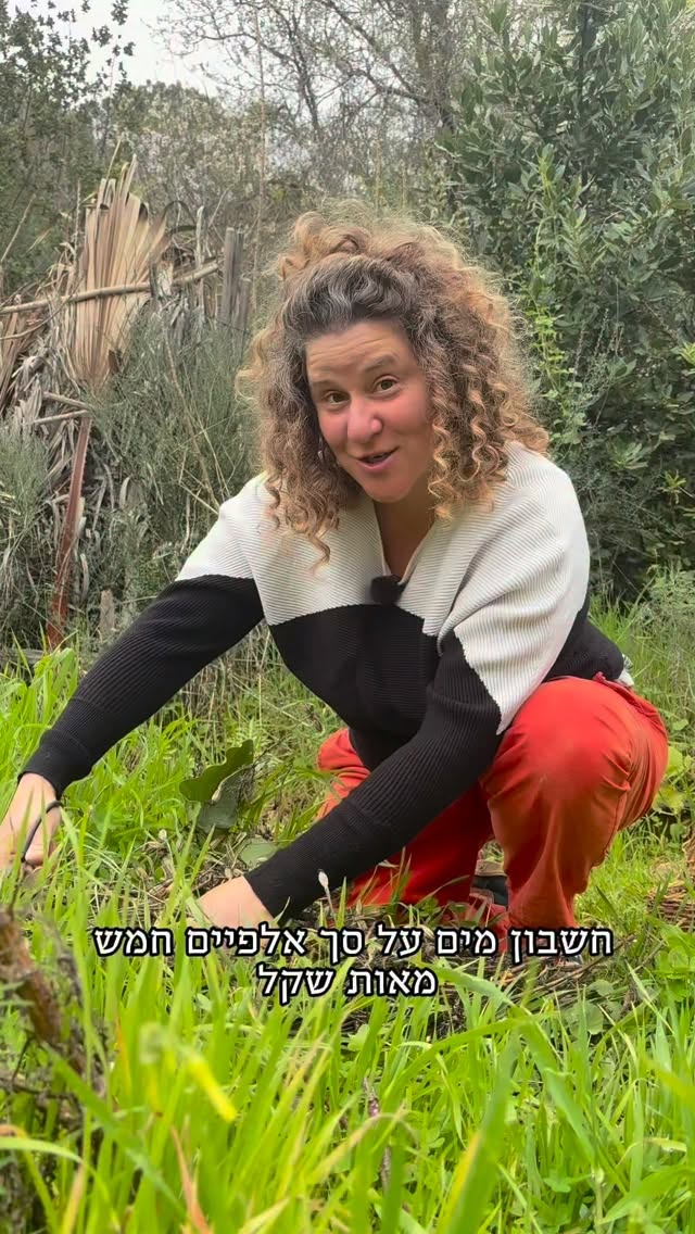 החלום היה פסטורלי: אדמה רטובה, מגפיים וארגזי ירקות שאנחנו מגדלים ומוכרים בגאווה.
המציאות הגיעה בצורת מעטפה בדואר: חשבון מים אחד שהבהיר לנו שכל חסה שגידלנו שווה בערך כמו סלט חסה במסעדת גורמה...
בדיעבד זה היה המשבר שהוליד את #לוחשנה בגינה.
אבל בזמן אמת זה הרגיש פשוט כמו חלום שהתרסק לרסיסים.
זו התזכורת שלי לימים הקשוחים שעוברים עלינו עכשיו:
לפעמים השבר הוא הדרך לנביטה של משהו חדש ומדויק יותר. אמן 🩷🌿
.
.
.
.
.
.
.
#החלוםושברו #חלומותשלאתנול #חלום #נביטה
