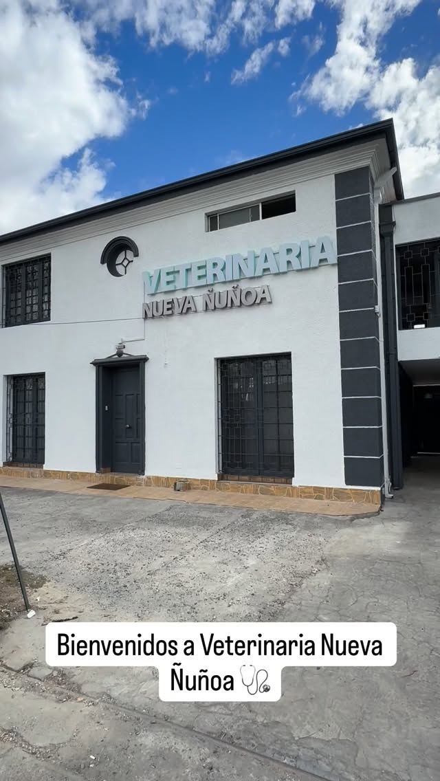 💫 Queremos que la experiencia de ir a la Veterinaria sea agradable para toda la familia.
.
Bienvenidos! Los esperamos 🐶🐈
.
#veterinaria
#perros
#gatos
