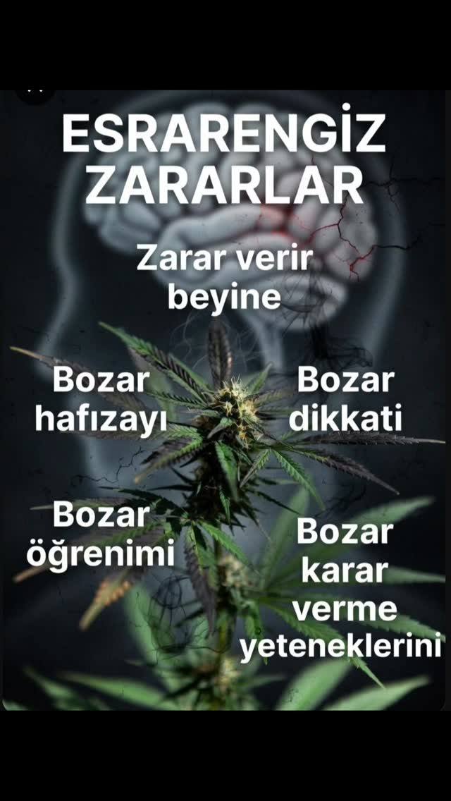 Bağder - Esrar ve Uyuşturucudan Uzak Dur Sağlığını Koru 👍👍👍 #uyuşturucu #uyuşturucuyahayır #uyuşturucuylamillimücadele #keşfet #keşfetteyiz