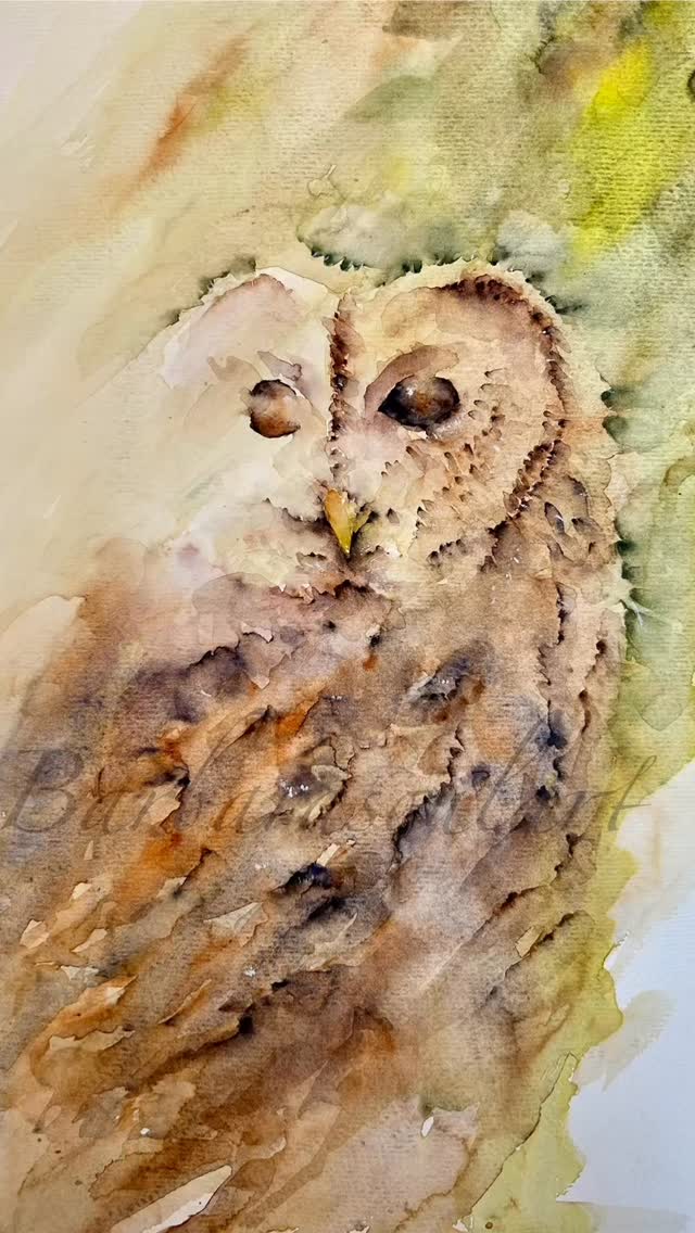 A volte mi siedo davanti al foglio e mi chiedo chi stia guardando chi.
Mentre l’acquerello si diffonde, c’è un momento in cui il colore prende vita e decide dove andare da solo. Animarlo è stato assecondare quel respiro silenzioso che ha sempre avuto. Volevo che sentiste il bosco che vi fissa attraverso i suoi occhi. ✨🦉
Questo gufo ha già spiccato il volo verso la sua nuova casa, ha trovato chi lo aspettava. Ma sono felice che il suo sguardo sia arrivato anche a voi.
Se sentite che un’altra creatura, un altro spirito naturale, debba farvi compagnia su un foglio (magari con un po’ di questa magia animata), scrivetemi pure in privato per parlarne. Sono disponibile per commissioni personalizzate.
Ma intanto, scrivetemi nei commenti se vi arriva questo sguardo. 👇
.
.
.
#acquerello #artedigitale #gufo #illustrazione #commissioniaperta