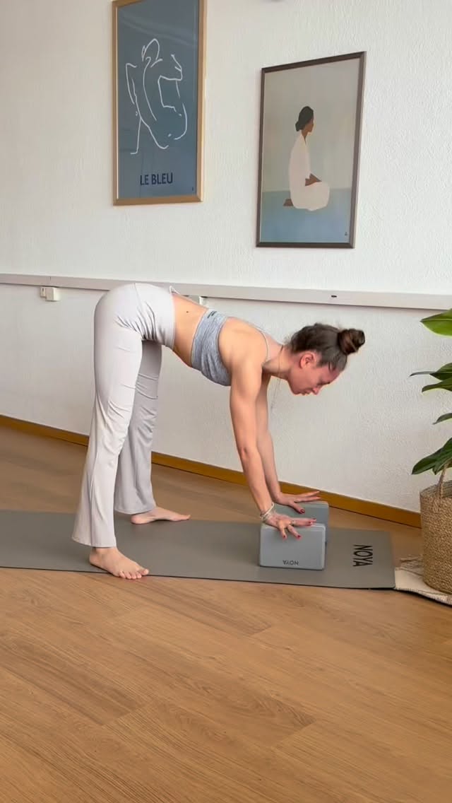 Mobilité des hanches & ouverture des épaules ✨
Ce flow invite à pratiquer en douceur avec les briques pour créer de l’espace, soutenir le corps et aller plus loin sans forcer.
Les hanches se libèrent, les épaules s’ouvrent… et le souffle guide chaque mouvement.
Rappelle-toi : ce n’est pas une question d’amplitude, mais de ressenti.
Prends le temps, explore, respire…
Pour m’accompagner lors de ce flow, tapis et briques de chez @move.noya
#yoga #yogateacher #yogapractice #yogaflow #yogaposes