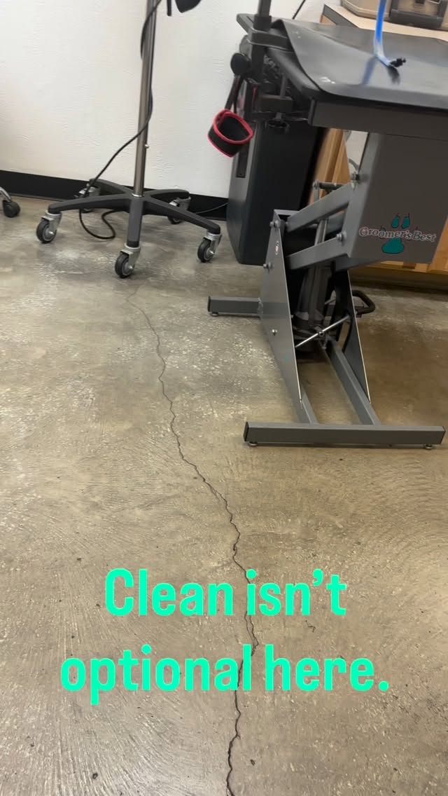 🐾 After the last pup leaves, the real reset begins 🧼🐾
We deep clean our salon every single day—because dogs bring in dirt, bacteria, and more than you might think.
This isn’t just grooming. It’s full-body care, a clean and safe space, and compassionate attention every step of the way.
We’re just people helping people take the best care of their dogs ❤️ #albuquerque #NewMexico #NMDogs #healthypups #cleanspaces