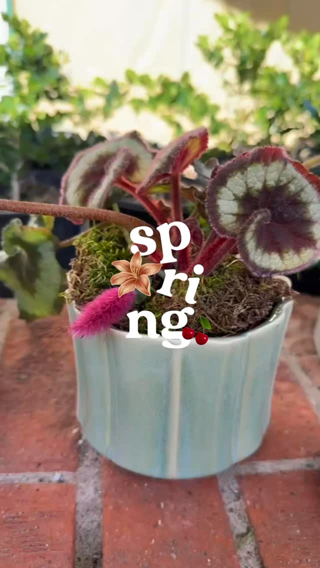 Spring has arrived at Plantology 🌿✨
Where fresh blooms, soft textures, and timeless greenery come together to breathe new life into every space.
From delicate orchids to sculptural arrangements, each piece is thoughtfully curated to bring effortless elegance from the shop into your home.
Step into the season of renewal, beautifully.
#PlantologyDesign #RanchoSantaFe #SpringStyle #LuxuryLiving #HomeAesthetics