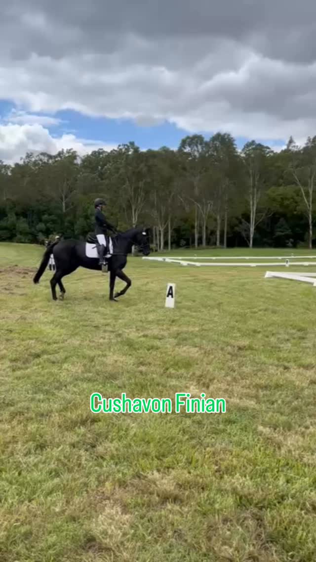 Nothing makes me prouder than seeing young riders achieve their goals on horses bred at Cushavon. Congratulations McKenzie Steggall and Georgia Kelly on fantastic results at TEG event