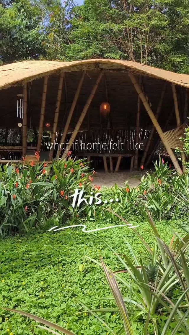 Welcome to Ekawa Bamboo Village...nestled into the Valley of San Blas, near San Carlos, Antioquia, about 3 hours from Medellín.
.
Here, homes begin as dreams. First sculpted as models, then built by hand from the living bamboo that grows around us. Around them we cultivate fruit forests and tropical gardens.
.
The air is clean, the sunlight warm, and water flows from our own mountain springs. Sometimes we sunbathe on the rocks and slip straight into a crystal stream... water so pure we drink it as we bathe.
.
🌿 From April 2026, six new glades for homes will become available! 🌱
.
Each glade is privately held, while the surrounding forests, streams, springs and paths are collectively stewarded as part of the growing Village... which already includes several bamboo homes and a retreat centre with a shala, natural pool and guest house.
.
This may be for you if you dream of:
•🎉 Creating your own bamboo home
•🍊 Cultivating edible forests and tropical gardens
•🧡 Living and working in a place that nourishes creativity, nature and community
.
Artists, healers, nature stewards, permaculturists, founders and digital nomads often feel at home here, people who sense that living intentionally is one of the most radical acts of our time.
.
If this is the future you've been waiting for, send us a message!