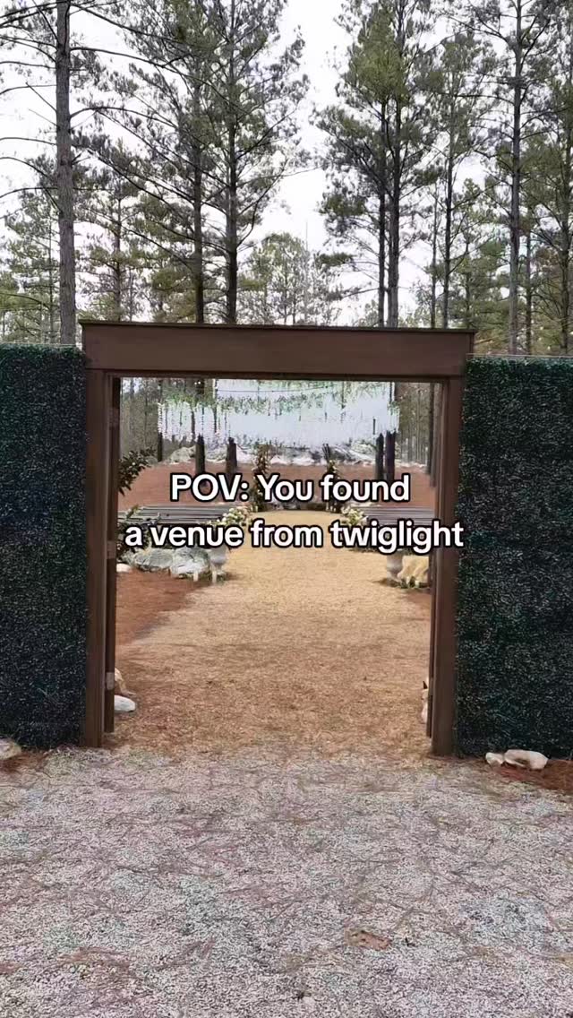 Yes your wedding can look like a movie! 1st book the venue ⛪️, 2nd hire me for your photography📸, and 3rd hire @geminifloralsandevents the flowers 🌸
www.luciascreations.co
#atlantaphotographer #weddings #twillight