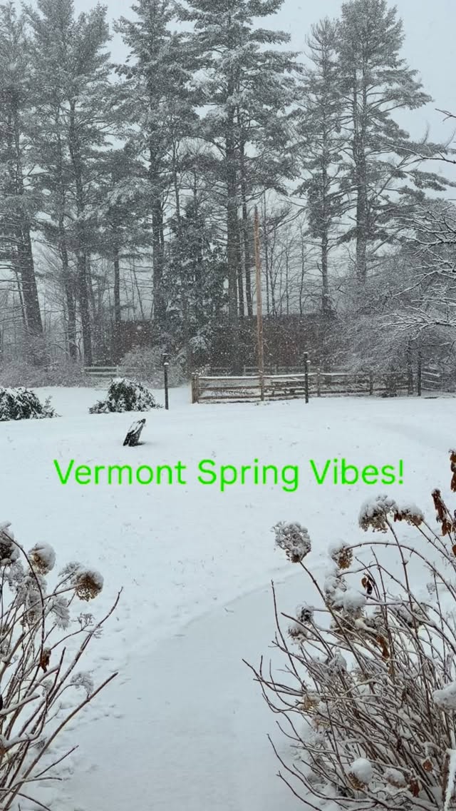 Spring hits a little different in Vermont!