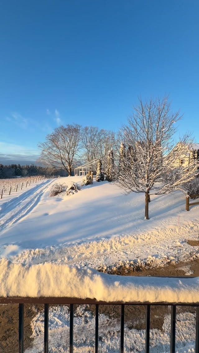 We’ll never get over mornings like this 🤩🌅
Sunrise over the vineyard never gets old but we are so done with snow!
☕ Avery’s Café opens at 8am
🥂 Deck Party in the tasting room starting at 11am
🍷 Public tour at 12pm
🎶 Live music with Lewis Goodwin from 1–3pm
Come sip, relax, and soak in the view. See you soon!
#averyscafe #flaghill #tastingroom #winery #deckparty