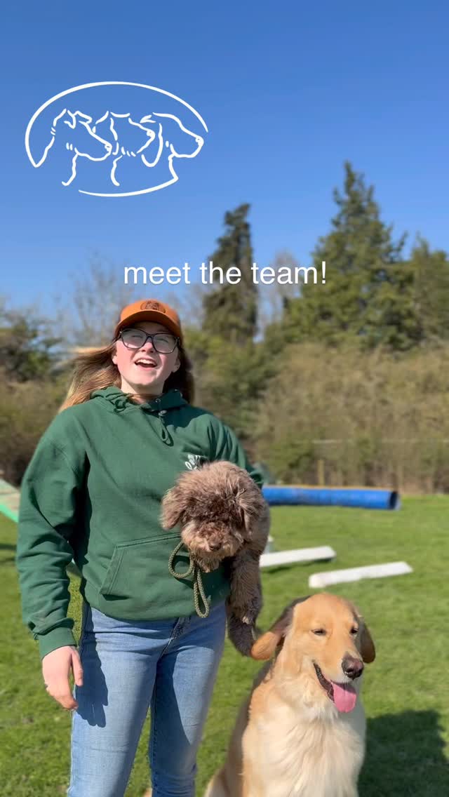 Meet the team! We host lots of training events and courses here at HQ. For any questions, availability or to book, contact us today!
#meettheteam
#dogtraining
#trusteddogtrainer
#hertfordshiredogs
#puppytraining