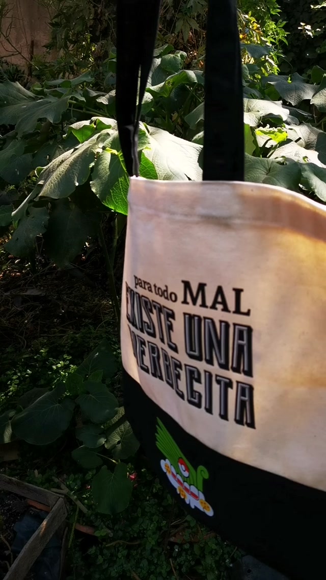 Para todo mal existe una hierbecita, para todo bien también.
Yo te cuido 🌱
#lasfriegas #latintureria #tinturamadre #herbolariamexicana #medicinadelamadretierra