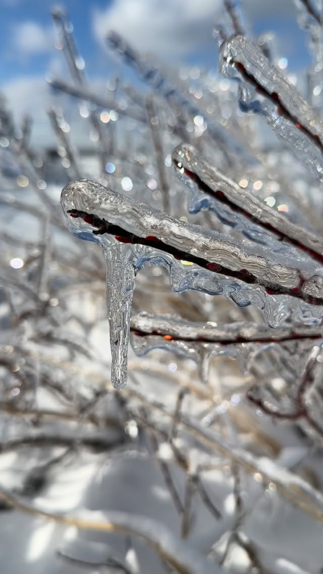 Lake Huron ice storm scenes
