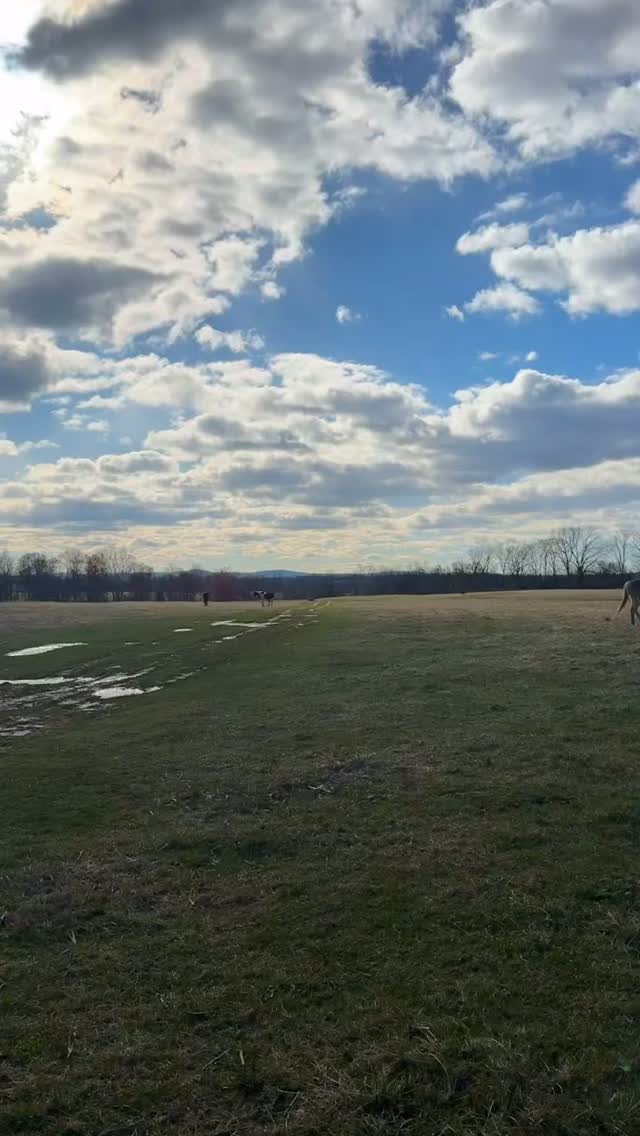 Happy St. Patrickโs Day โ๏ธ