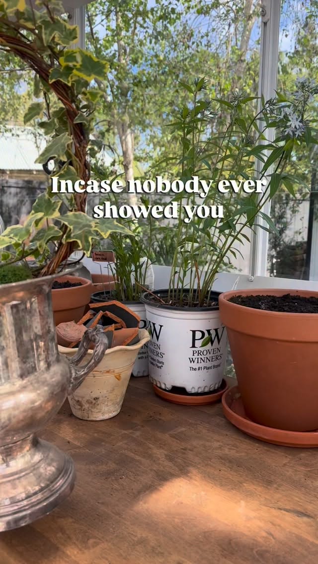 Definitely get a horse hair brush with your silver polish, this took me 6 minutes to do and film it. These two are a power house! Always wash your silver afterwards and then completely dry it. ✨comment polish and I’ll send the link
The brush is vintage. If you don’t get the links hit follow and then comment again. You can always unfollow after you get the link.