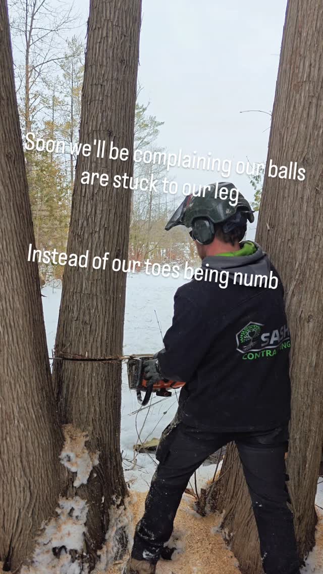 Always something to complain about 🤷
#treework #treelife #landcaping #lotclearing #miniexcavator