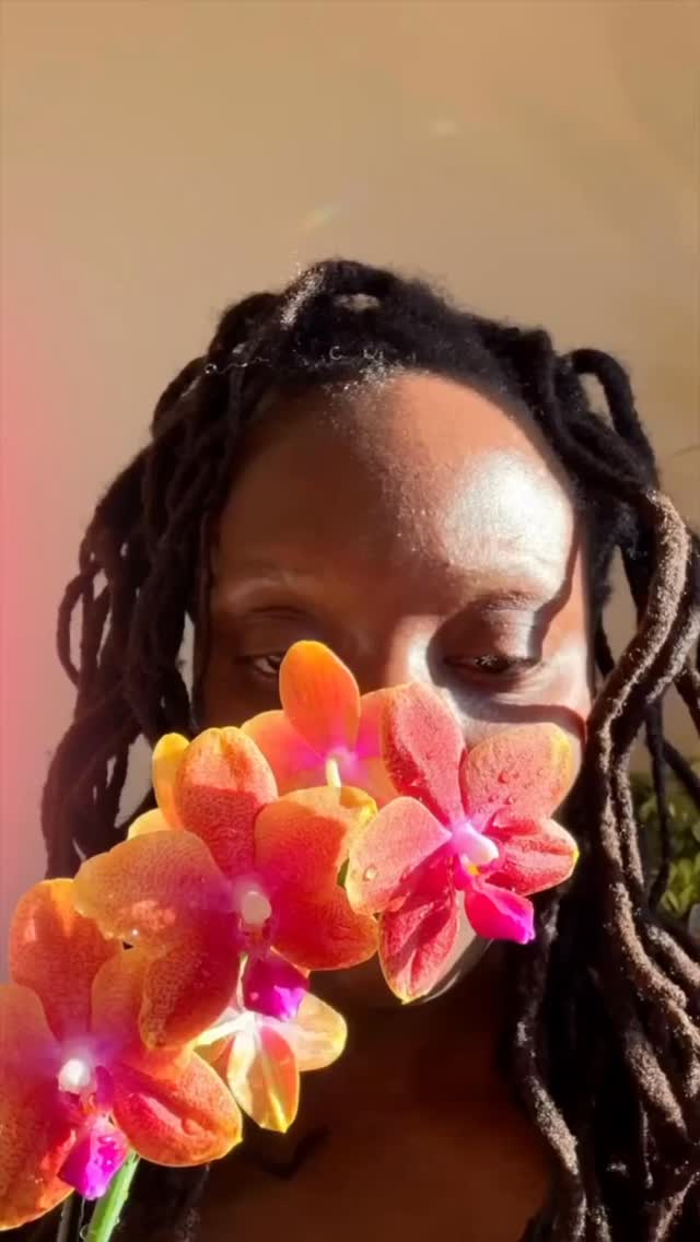 Spring whispers: plant the seeds and watch your intentions bloom ✨🦋✨
#SpringEquinox
#HappyNewYear