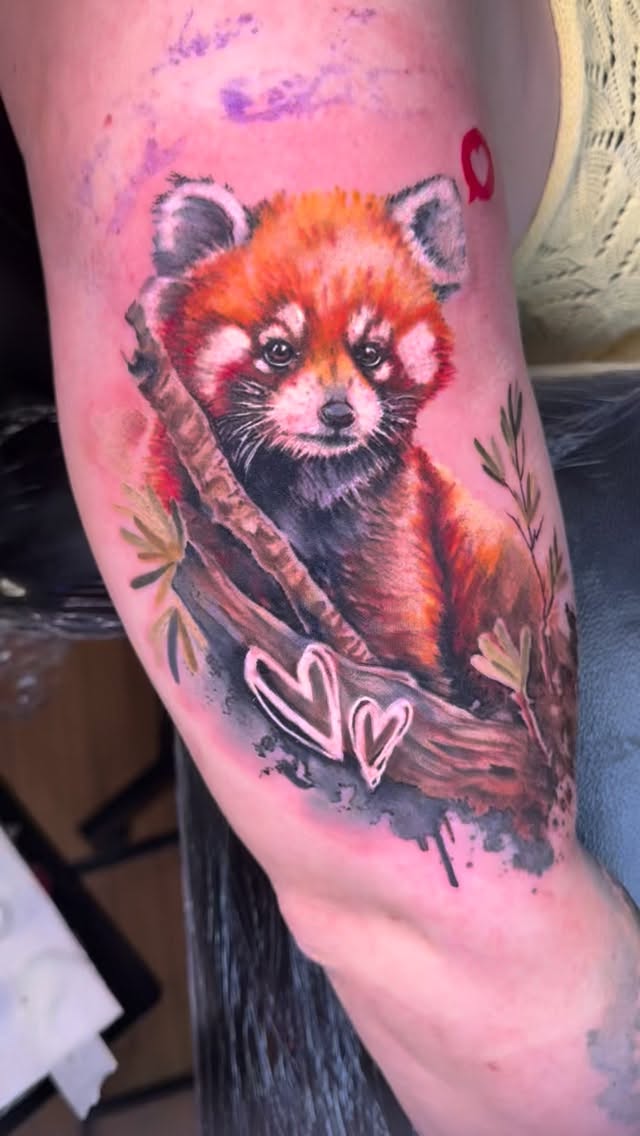 Session 1 down and i am happpyyy! Sometimes its better to do 2 sessions just to get the best out of yourself. I could have done it in one…. It was a fixed price. But I wanted to do a GREAT piece. Same price/two sessions= amazing art! @worldfamousink @whitfields.tattoo.co.usa @inklabtattoomachine @hustlebutterdeluxe @tattoosnob #redpanda #tattoo #watercolortattoo #watercolourtattoo #animaltattoo
