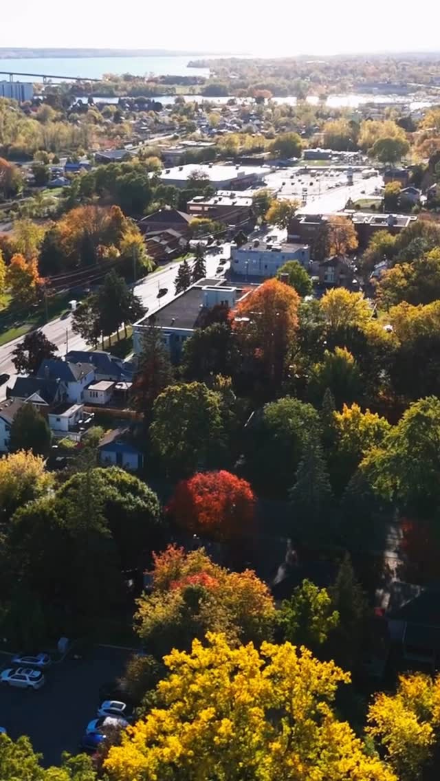 Some streets just feel different. 🌳
Morning walks under mature trees. Friendly waves from neighbours.
Dufferin Avenue isn’t just an address, it’s a lifestyle.
134 Dufferin Ave, Belleville
LA: @jilliansupryka