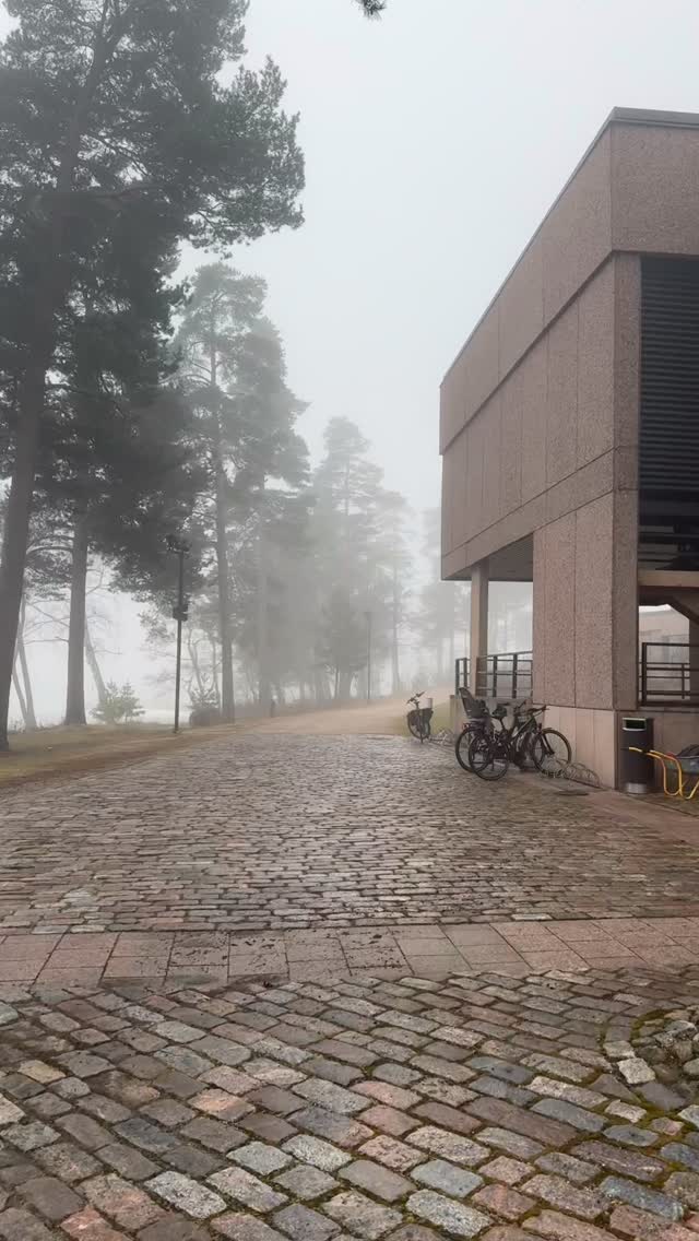 Tiistain luottamushenkilöseminaari, tältä näytti päivä!✨
Ajatuksia, vuoropuhelua ja yhteistä suuntaa länsiuusimaalaisten hyväksi.
#luvn #länsiuudenmaanhyvinvointialue #hanasaari