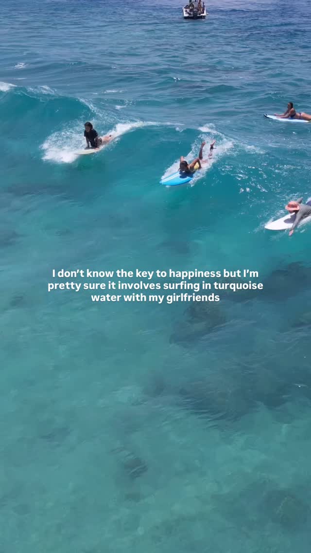 MALDIVES 🌺
2-9 May (1 spot)
10-17 May (1 spot)
19-26 September (5 spots)
Join us via link in bio 🌊🩵